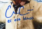 Evan Gattis Signed Atlanta Braves Unframed 8X10 MLB Photo - Bear Suit with "El Oso Blanco" Inscription
