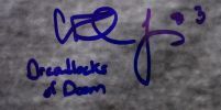Craig Steltz, Jacob Hester, & Chad Jones Signed LSU Tigers 16x20 Spotlight Photo With Player Inscriptions