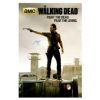 Chandler Riggs Signed The Walking Dead Full Size Poster - Season 3
