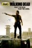 Chandler Riggs Signed The Walking Dead Full Size Poster - Season 3