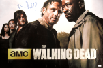 Norman Reedus Signed The Walking Dead Season Six Full Size Poster